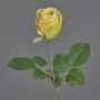 Flor artificial rosa POPI, amarillo-rosa, 55 cm, Ø 7 cm