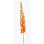 Flor artificial grande de vela de steppe NITTI, naranja, 130 cm