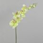 Rama de orquídea Phalaenopsis artificial AMARNE, verde crema, 90 cm