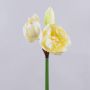 Amaryllis artificial GRELTA, crema-amarillo, 80cm