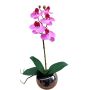 Orquídea decorativa Phalaenopsis ZARMINAH en maceta decorativa, raíces, cereza, 35 cm