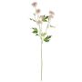 Rama de flor artificial crisantemo REINHARDA, rosa y blanco, 65 cm