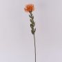 Flor artificial Protea URMINE, aspecto seco, naranja, 60 cm
