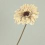 Gerbera artificial TUNGUSKA, aspecto seco, crema-beige, 50 cm