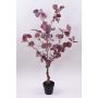 Eucalipto artificial WISCHERA, frutos, tronco artificial, maceta decorativa, rojo burdeos-gris, 90cm