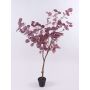 Eucalipto artificial WISCHERA, frutos, tronco artificial, maceta decorativa, rojo burdeos-gris, 120cm