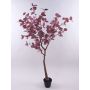 Eucalipto artificial WISCHERA, frutos, tronco artificial, maceta decorativa, rojo burdeos-gris, 150cm