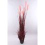 Hierba de la pampa artificial WERNHILD con panículas, maceta decorativa, rojo-marrón, 180cm