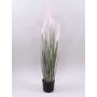 Hierba decorativa para limpiar lámparas PARIDKO con panículas, rosa-verde, 90cm