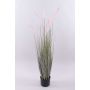 Hierba decorativa para limpiar lámparas PARIDKO con panículas, rosa-verde, 120cm