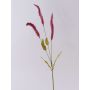 Rama decorativa de hierba Liriope JELIKANTA con panículas, rojo burdeos, 75 cm