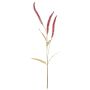 Rama decorativa de hierba Liriope JELIKANTA con panículas, rojo burdeos, 75 cm