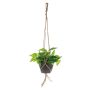 Hedera artificial en maceta colgante CASON, verde, 60 cm