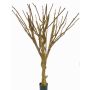 Tronco de árbol artificial MAKOA, con ramas, marrón, 220cm