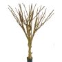Tronco de árbol artificial MAKOA, con ramas, marrón, 220cm