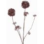 Rama de skimmia artificial LOBUS, rojo oscuro, 90cm, Ø4-8,5cm