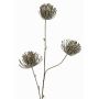 Rama artificial de protea KAPO con purpurina, verde oliva, 85cm, Ø8cm