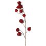 Rama artificial de physalis AINOS, frutos, purpurina, rojo burdeos, 80 cm