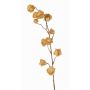 Rama artificial de physalis AINOS, frutos, purpurina, beige, 80cm