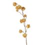 Rama artificial de physalis AINOS, frutos, purpurina, beige, 80 cm