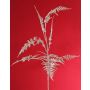 Rama decorativa de espárrago plumosus GIONA, plateada, 85 cm