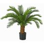 Palmera decorativa Cycas SLITAL, 80cm