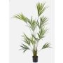Palmera Kentia artificial PAIGE, 185cm
