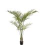 Palmera areca artificial AFENTIS, crossdoor, 165 cm