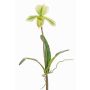 Orquídea Paphiopedilum artificial VELANA, varilla, verde-blanca, 40cm