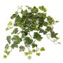 Hiedra artificial colgante ARJANA, varilla, crossdoor, verde y blanco, 50 cm