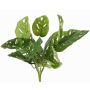 Filodendro artificial Monstera adansonii ARKADIO, varilla, 40cm