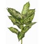 Dieffenbachia artificial VISP, difícilmente inflamable, varilla, verde-blanco, 40cm