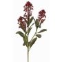 Plantas artificiales Rama de skimmia LAUSANA con flores, rojo burdeos, 65cm, Ø7cm