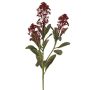 Plantas artificiales Rama de skimmia LAUSANA con flores, rojo burdeos, 65 cm