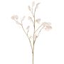 Planta artificial Rama de lunaria KONIA, crema, 95 cm