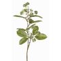 Rama de cornejo artificial PANGO con brotes, verde-blanco, 70cm, Ø7cm