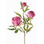 Rama de peonía artificial MANJA, violeta, 70cm, Ø8-10cm