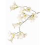 Rama de flor artificial trompeta de jazmín AURINA, blanco, 90cm