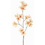 Rama de flor artificial trompeta de jazmín AURINA, melocotón, 90cm