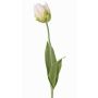 Flor artificial tulipán papagayo UAKARI, blanco-verde, 65cm, Ø6cm