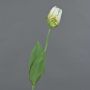 Flor artificial tulipán papagayo UAKARI, blanco-verde, 65 cm, Ø 6 cm