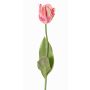 Flor artificial tulipán papagayo UAKARI, rosa-crema-verde, 65cm, Ø6cm