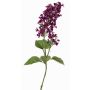 Rama decorativa de lila ADMIR, violeta oscuro, 80cm, Ø6-9cm