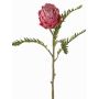 Protea artificial BREGANSA, fucsia envejecido, 65cm, Ø7cm