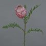 Protea artificial BREGANSA, rosa viejo, 65 cm, Ø 8 cm