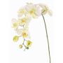 Rama decorativa de orquídea Phalaenopsis WESA, blanca y verde, 100 cm