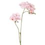 Rama de flor artificial de orquídea Phalaenopsis VILLANI, rosa-blanco, 65 cm
