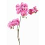 Rama artificial de flor Phalaenopsis VILLANI, rosa-fucsia, 60cm, Ø3,5-5cm