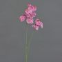 Rama artificial de flor Phalaenopsis VILLANI, rosa-rosa, 65 cm