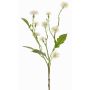 Flor artificial de margarita HOLLA, blanca, blanco, 55cm, Ø3-4cm